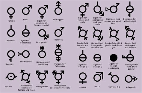 Obama Administration Declares War on the Gender Binary | The Political Hat