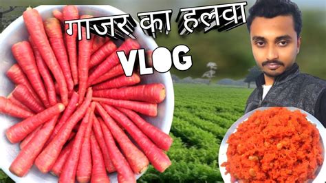 गाजर का हलवा देसी Style Vlog । Gajar Ka Halwa Recipe । Carrot Halwa