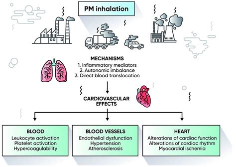 Air Pollution Is A Major Risk For Cardiovascular Disease Awareness Is Still Needed