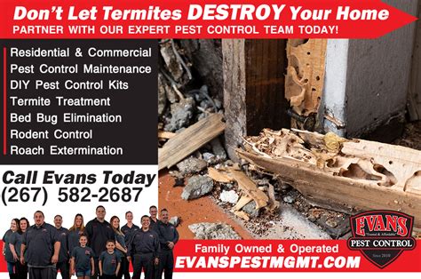 Avoid Termite Damage | Evans Pest Control | Philadelphia's Trusted Exterminator | 267-582-2687