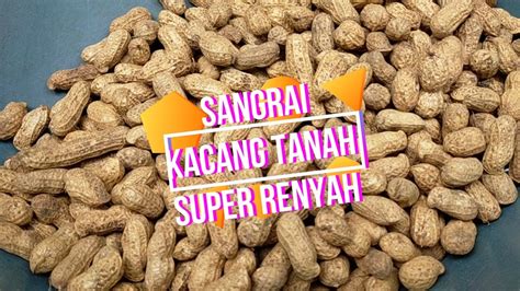 Cara Sangrai Kacang Tanah Sederhana Youtube