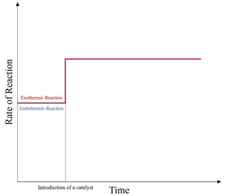 Equilibrium and Catalysts | Elucidate Education