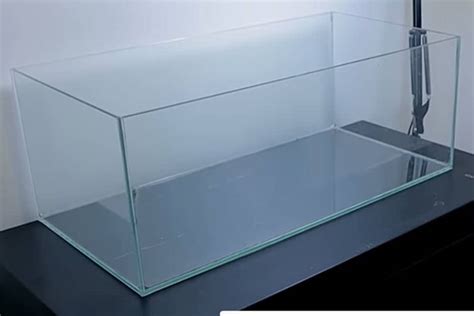 Fish Tank Glass Thickness Guide: What You Need To Know