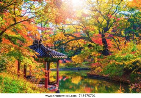 Seoul Changdeokgung Palace Autumn South Korea Stock Photo (Edit Now ...