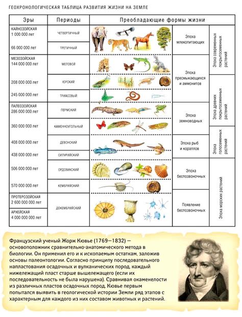 Геохронологическая таблица по биологии Геохронологическая таблица