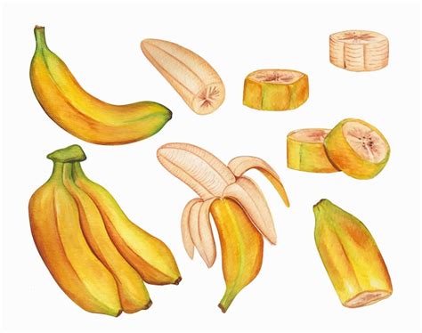 Coleção de banana em aquarela desenhada à mão Vetor Grátis