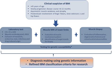 Ibm Diagnostic Workup And Improved More Sensitive And Specific Download Scientific Diagram