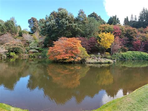 Burnie Sightseeing Tour | Tour | Discover Tasmania