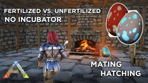 Ark Eggs Explained Hatching Mating No Incubator Survival