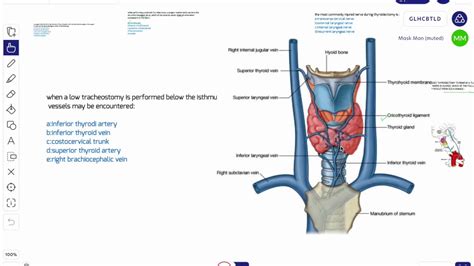 Thyroid Gland Mcqs Bcqs Anatomy Youtube