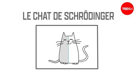 Le Chat De Schr Dinger Exp Rience De Pens E En M Canique Quantique