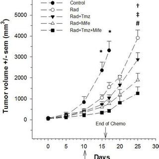 Antitumor Activity On Glioblastoma Xenografts For Control And