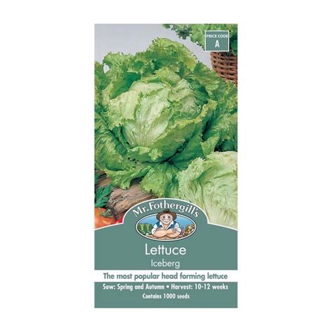 LETTUCE ICEBERG | Garden Feast