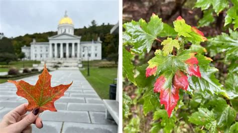 How to Visit Vermont in The Fall - StyledTraveler 🧳🍁