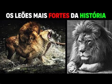 Le O Le Es Mais Fortes Da Hist Ria Youtube