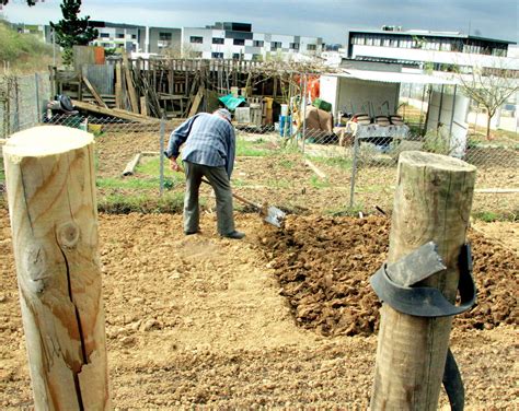 environnement jardins familiaux à metz Tout un monde dans une petite