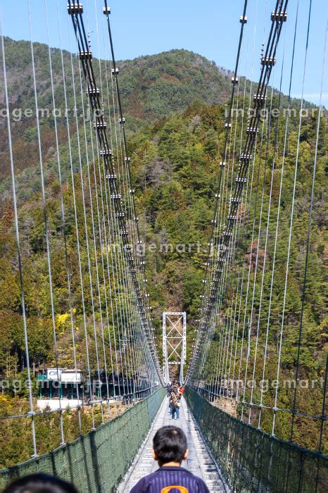 奈良県吉野郡十津川村に架かる日本最長の生活用鉄線の吊橋、谷瀬の吊橋の写真素材 [197769363] イメージマート