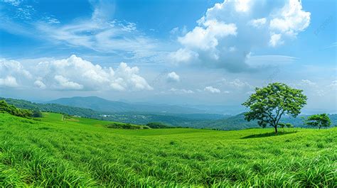 Panorama Landscape View Of Green Grass Field Agent Blue Sky Background