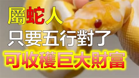 2024生肖運勢，十二生肖（屬蛇與十二地支第六位巳相對應，巳為火，因此，屬蛇人的五行是火。屬蛇人精力充沛，經常依靠自己的判斷行事，與其他人不會