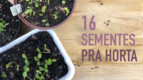 Comece Sua Horta A Cole O De Sementes Minhas Plantas Carol Costa