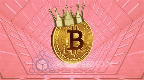 以下是 2024 年最佳比特币 Btc 预测 0x资讯