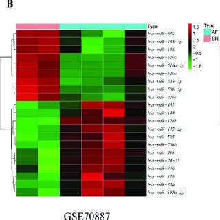 Identification of differentially expressed genes. Heatmap of the top 30 ...