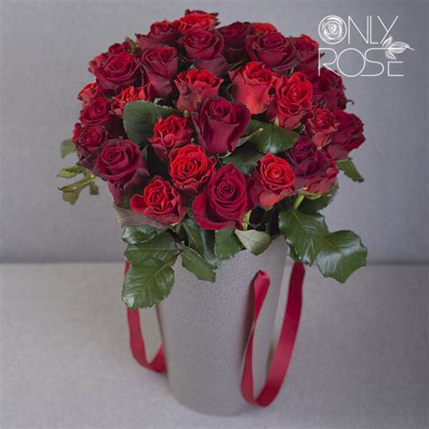 Роза Эль Торо | Onlyrose