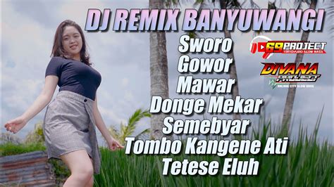 Dj Remix Banyuwangi Slow Bass Project Dj Remix Full Album Divana