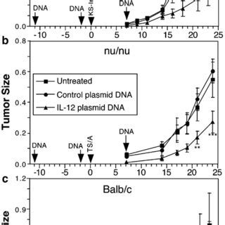 Inhibition Of Tumor Growth By IL12 Naked DNA Gene Transfer The DNA