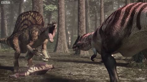 Spinosaurus Vs Carcharodontosaurus