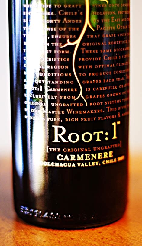 Damn Near 40 Wine Tasting Adventure Root 1 Carmenere