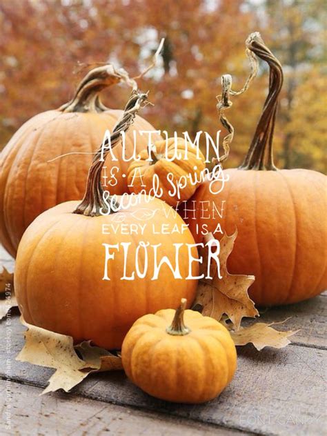 Autumn Quote Pumpkins Autumn Day Hello Autumn Autumn Leaves It S