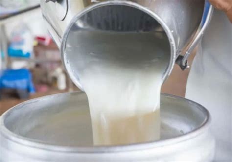 Kementan Berkomitmen Kembangkan Produksi Susu Segar Dalam Negeri