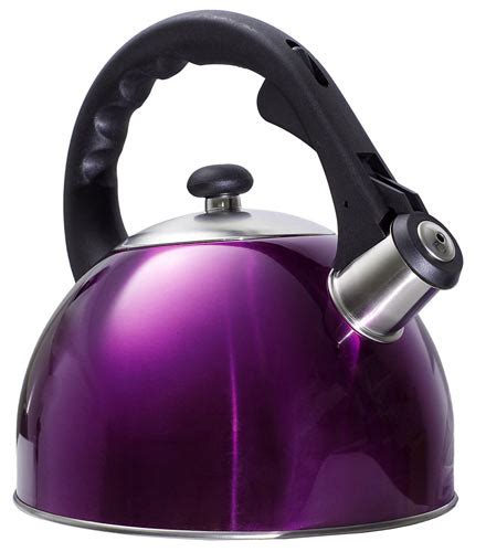 Shiny Purple Tea Kettle