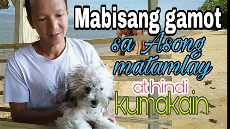 Mabisang Gamot Sa Asong Matamlay At Hindi Kumakain Meljen Vlog Youtube