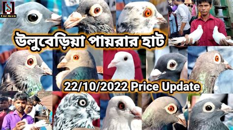 Recent Exotic Pigeon S Price Update At Uluberia Pet Market Uluberia