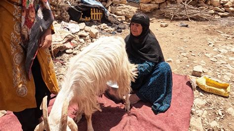 Making Yogurt The Nomadic Lifestyle Of Iran YouTube