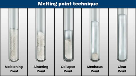 stages  melting labster