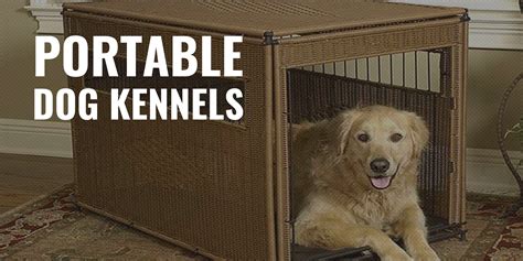 10 Best Portable Dog Kennels – Mobile Crates & Kennels, Tips + FAQ