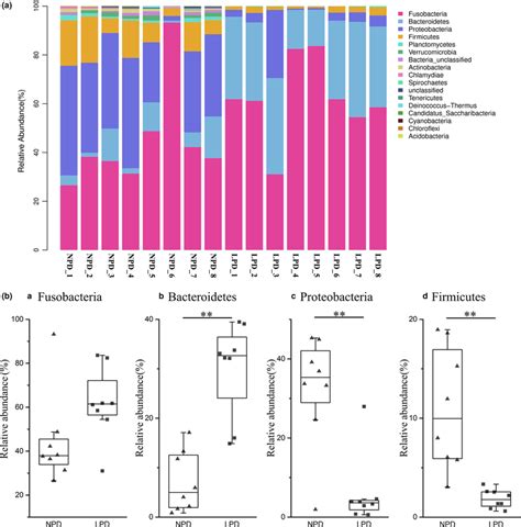 A Relative Abundance Of Predominant Taxa Identified At Phylum Level