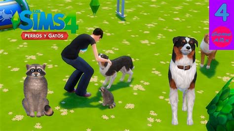 Los Sims 4 ExpansiÓn Perros Y Gatos Nos Vamos Al Parque Con Nuestras Mascotas Ep4 Youtube