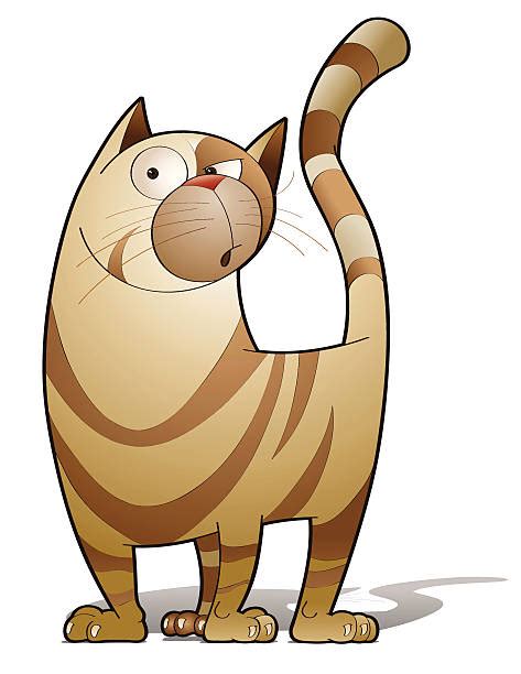 Tabby Cat Illustrations, Royalty-Free Vector Graphics & Clip Art - iStock