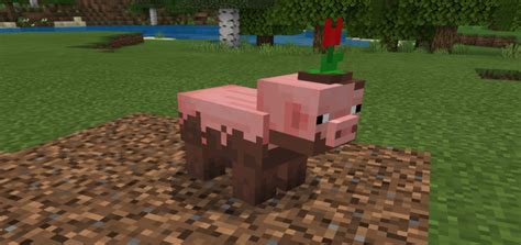 Minecraft Pig Texture Pack