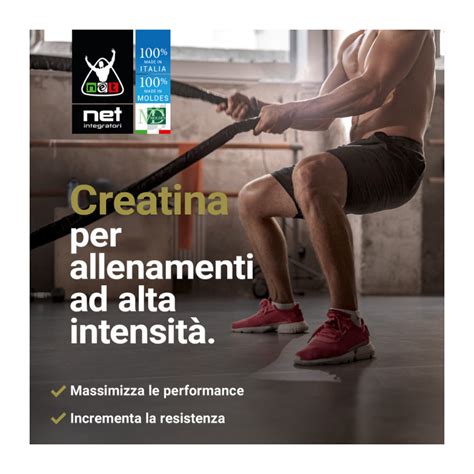 Creatina Endurance Integratore Di Creatina Per Endurance Net