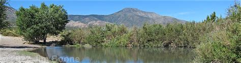 Birding Around Las Vegas Mount Charleston Cold Creek