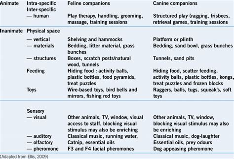 Classification Of Environmental Enrichment Strategies Download