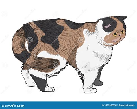 Illustration Drawing Style of Cat Stock Illustration - Illustration of ...