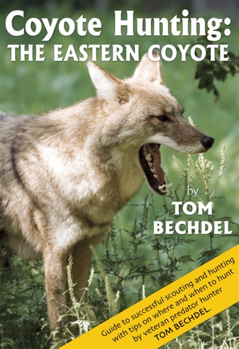 Coyote Hunting: The Eastern Coyote – Headline Books