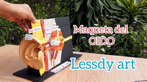 Maqueta del oído YouTube