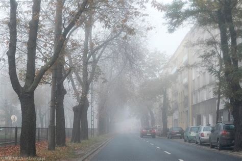 Smog W Poznaniu Najgorsze Powietrze W Mie Cie Jest Na Wildzie